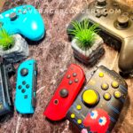 Nintendo Switch Controllers